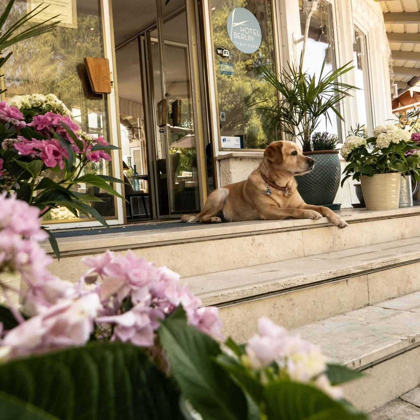 Hotel Berlin Tegernsee ร็อทท์อาค-เอเกิร์น ภายนอก รูปภาพ