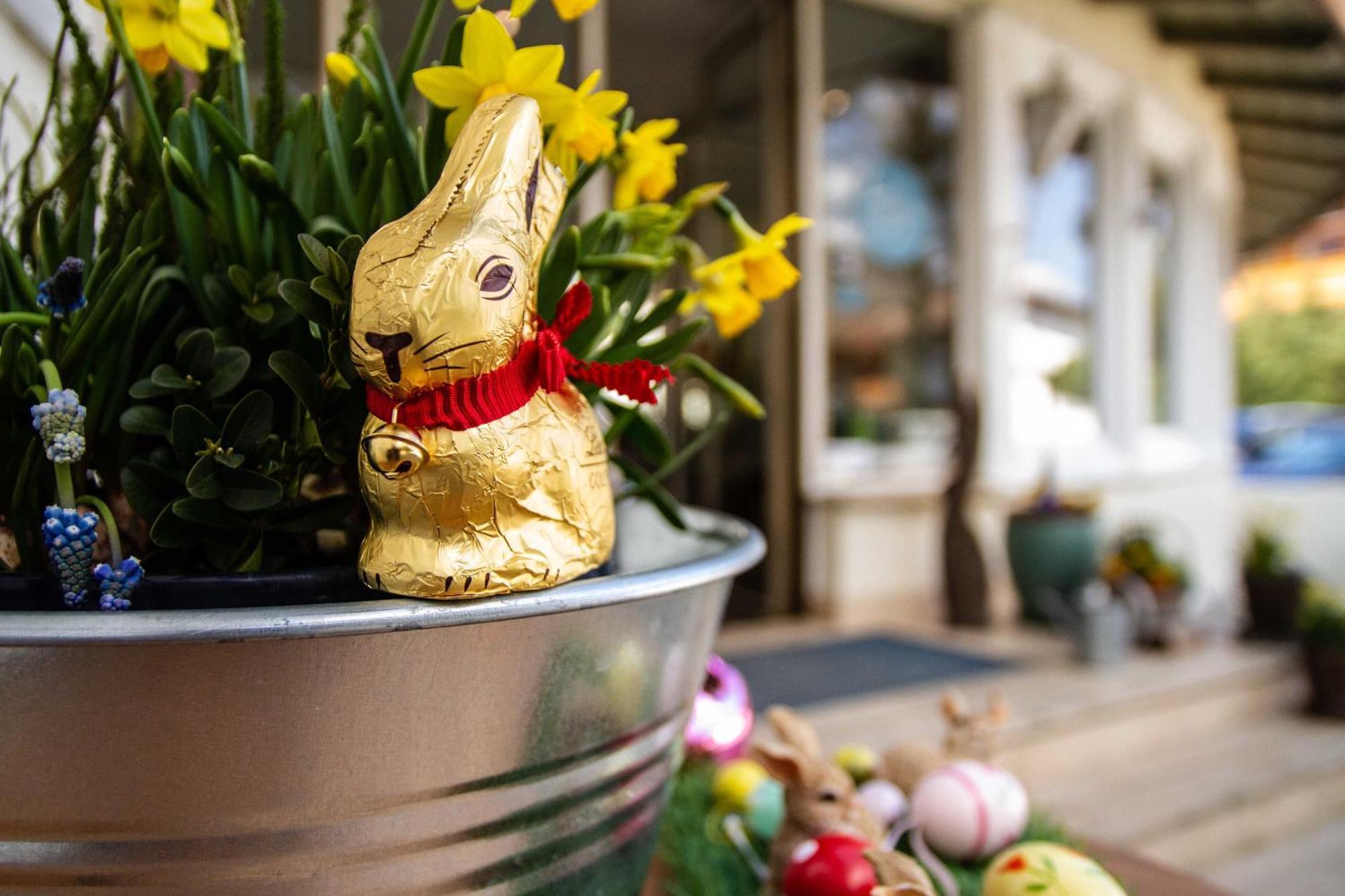 Hotel Berlin Tegernsee ร็อทท์อาค-เอเกิร์น ภายนอก รูปภาพ